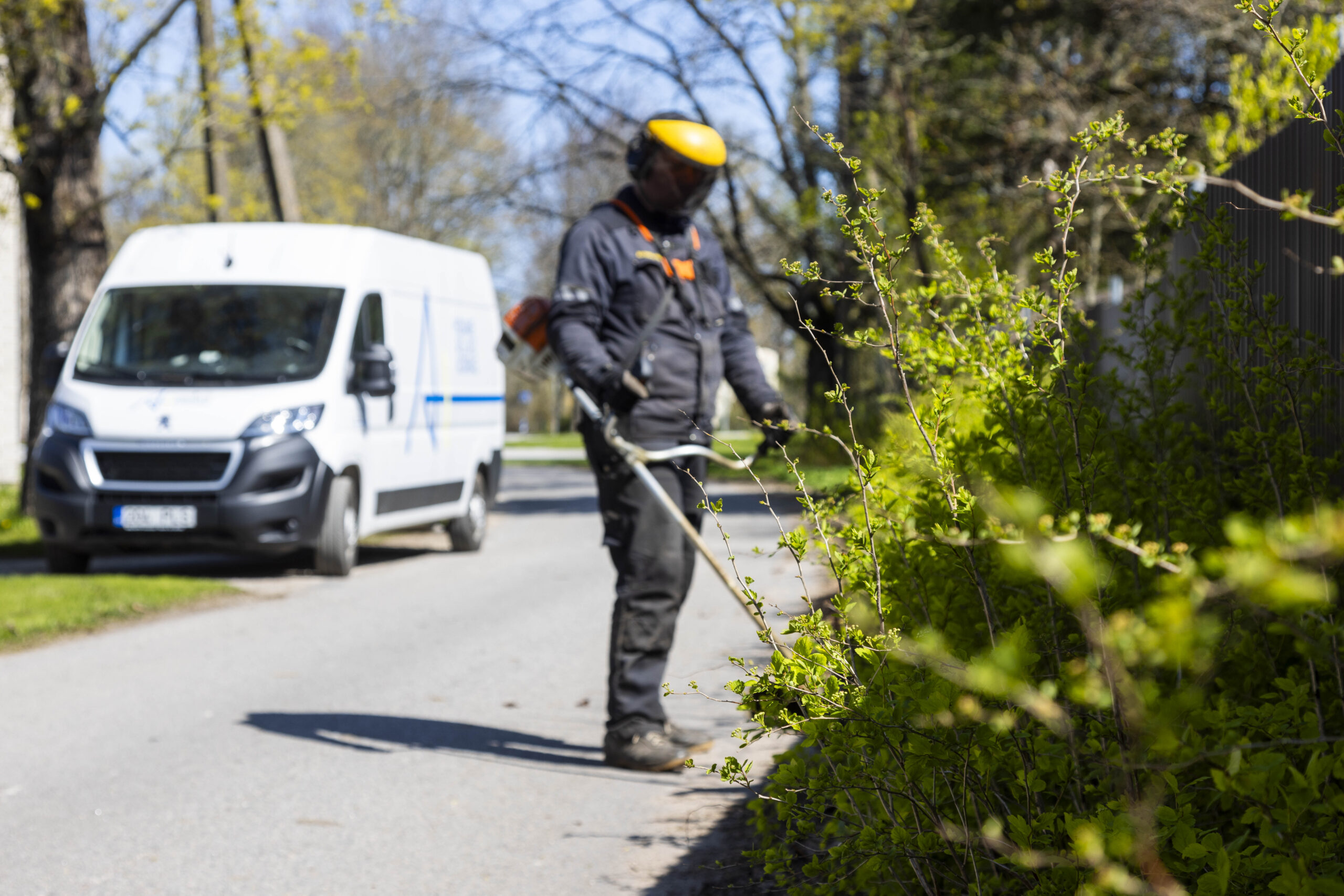 Avaleht - Alutaguse Haldus OÜ